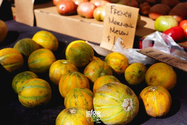 Illustration de produits du terroir