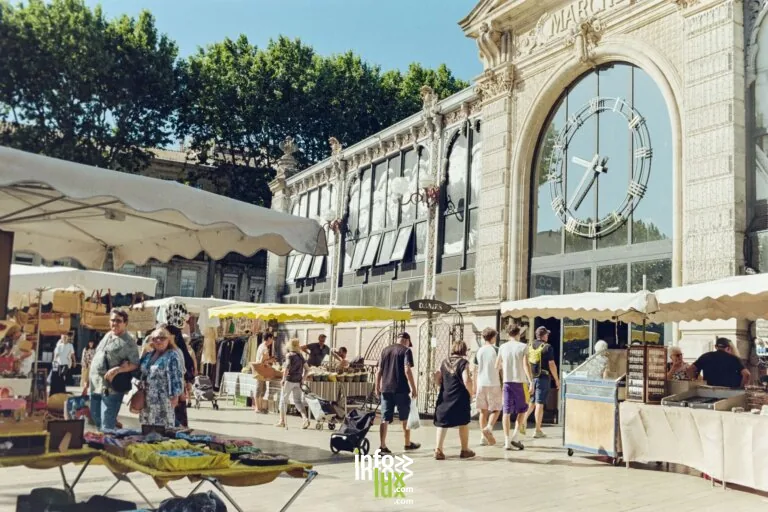 Illustration de produits du terroir