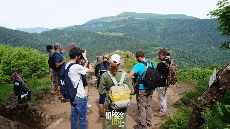 Wattwiller > Jeune public & Famille > Itinérance sur le champ de bataille du Hartmannswillerkopf