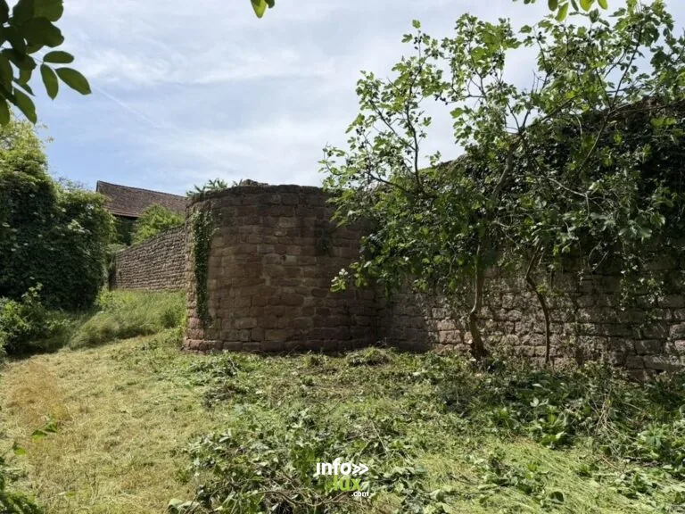 Wangen > Patrimoine > Journées du patrimoine 2026 à Wangen ” Patrimoine en péril : raviver…