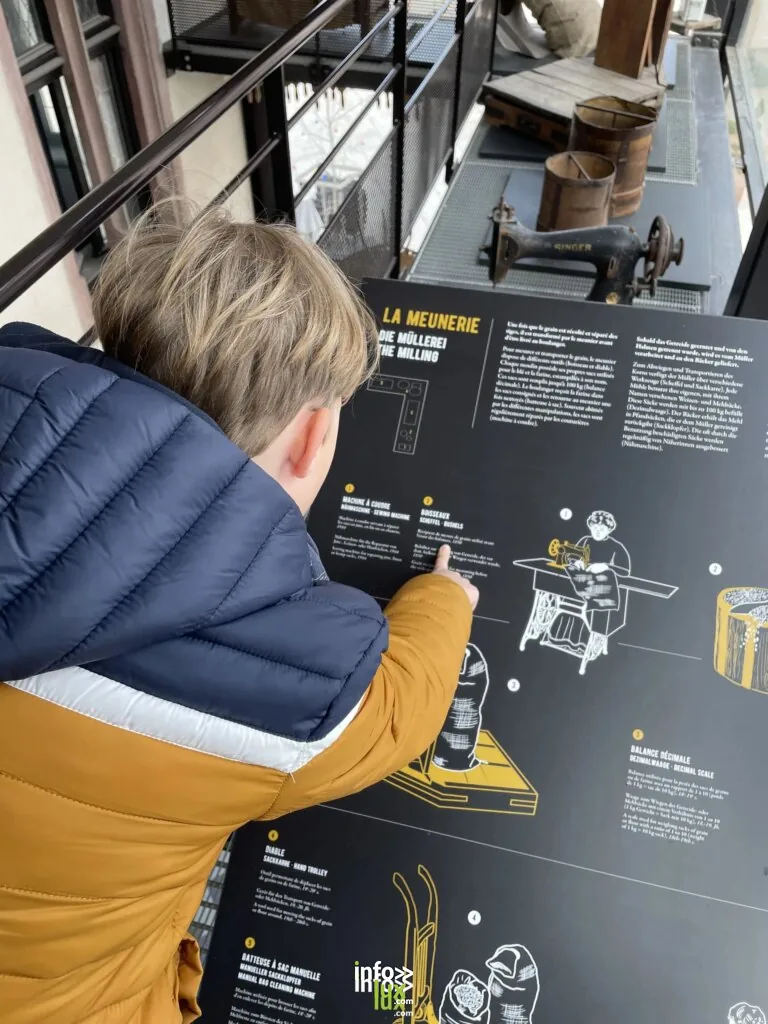 Bindernheim > Sorties & Découvertes > L’histoire du pain et des spécialités alsaciennes