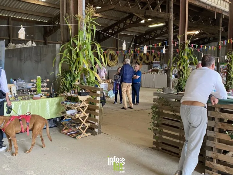 Vany > Exposition > La faune dans les paysages de campagne