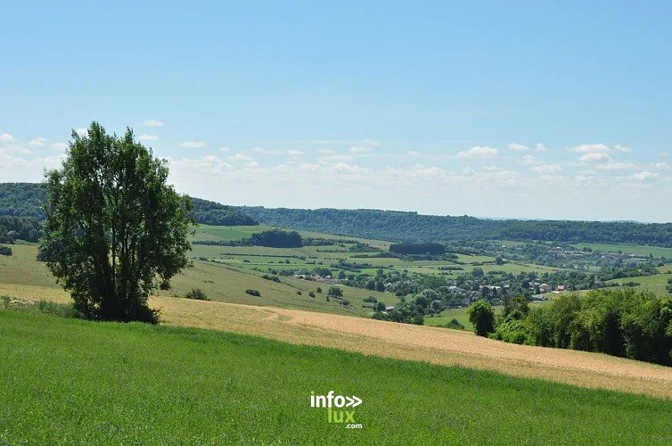 La Guinguette à Rouvroy : randonnée de 5 km (Couvreux)