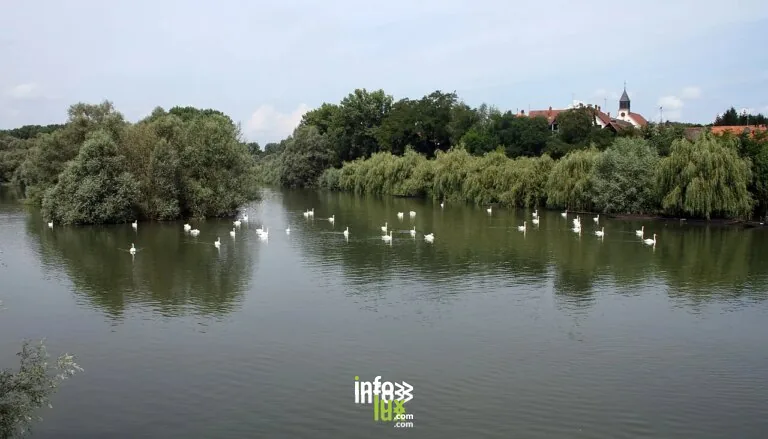 La Réserve Naturelle Delta de la Sauer à Munchhausen