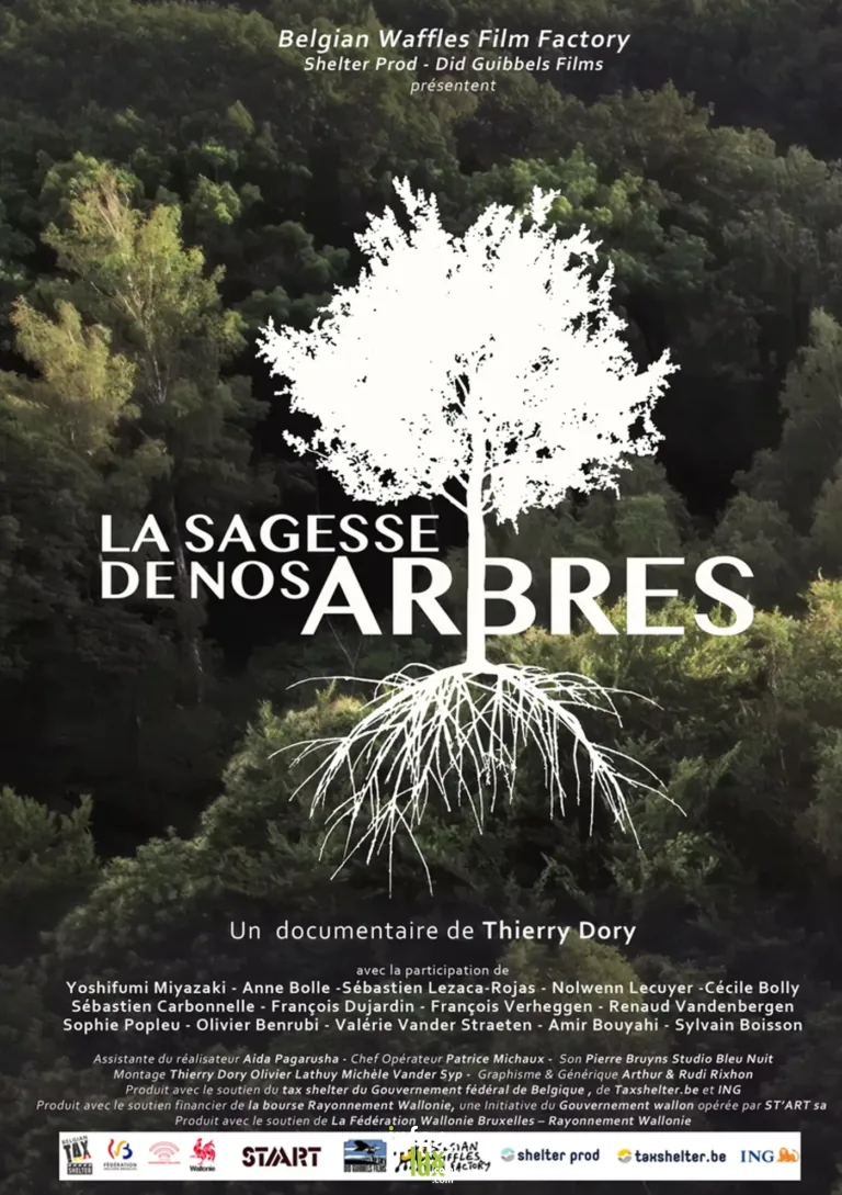 Wanze > Sortie > La sagesse de nos arbres 2026
