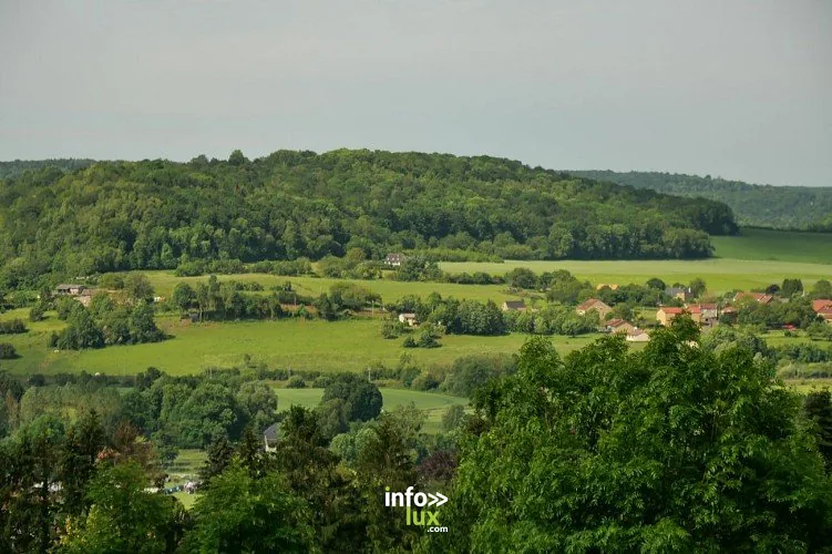 La Torgnolaise à Rouvroy : randonnée de 7,6 km (Torgny)