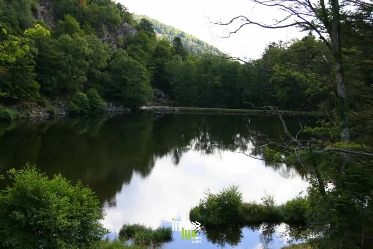 Lacs du Neuweiher à Oberbruck