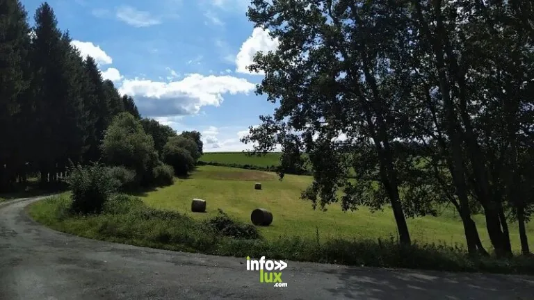 Le Gros Bois à Daverdisse : randonnée de 8 km (Porcheresse)