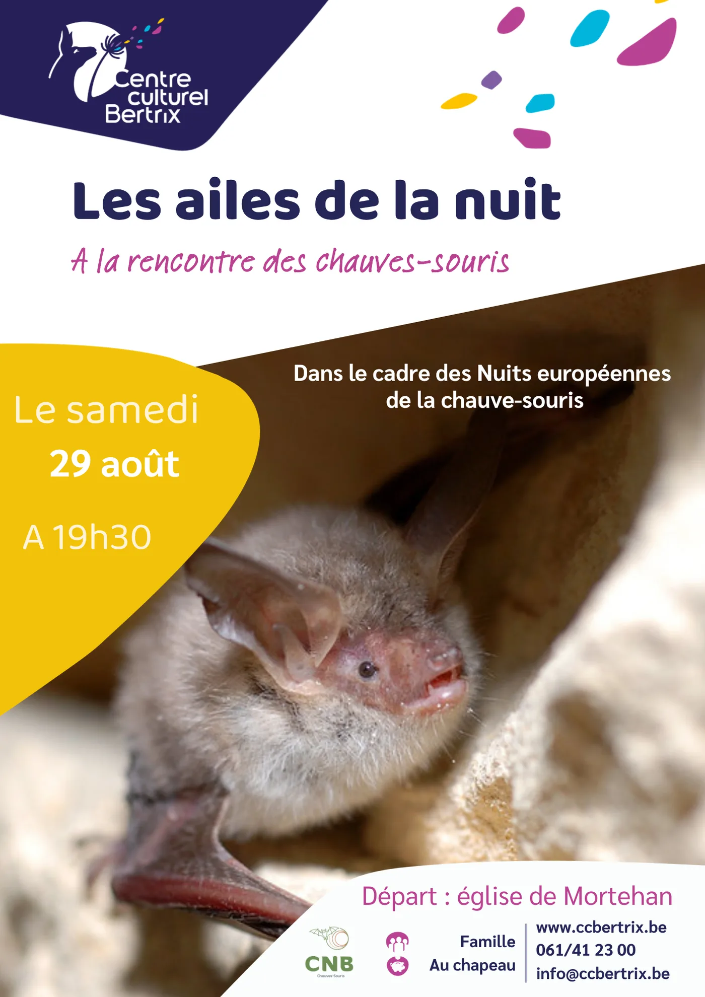 Affiche de la soiree Les ailes de la nuit, le 29 aout 2026 a Mortehan
