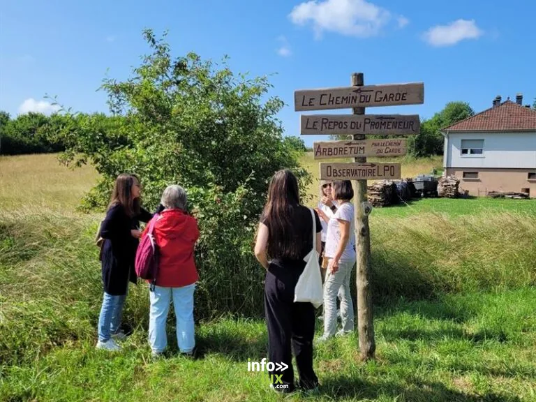 Hoste > Fête > Les secrets des plantes sauvages