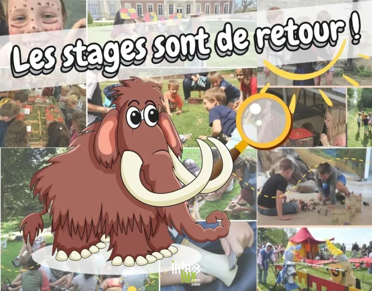 Les stages du MiaBW 2026