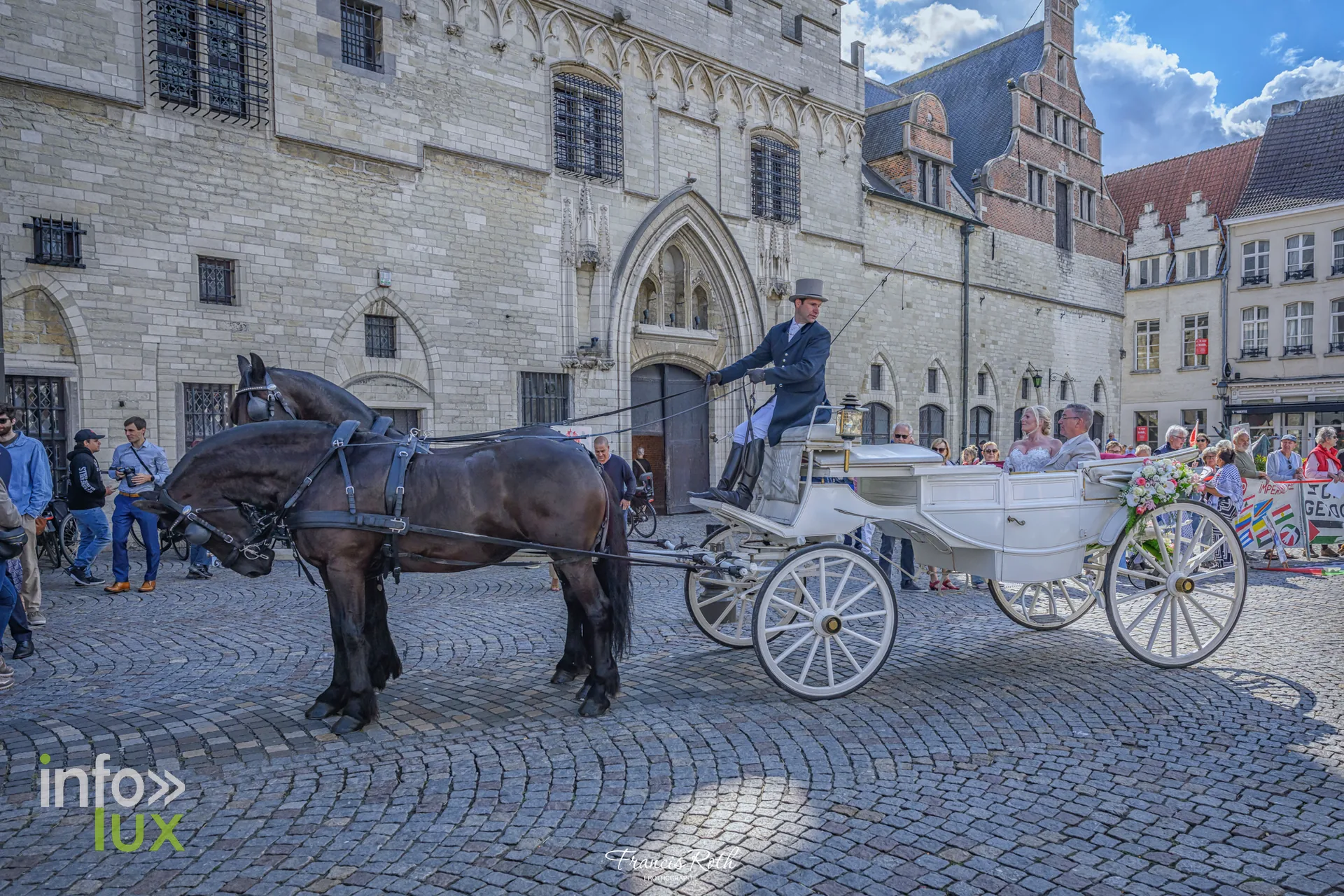 Une calèche attend le long de l'hôtel de ville — Malines et le Jardin d'hiver des Ursulines, en Belgique