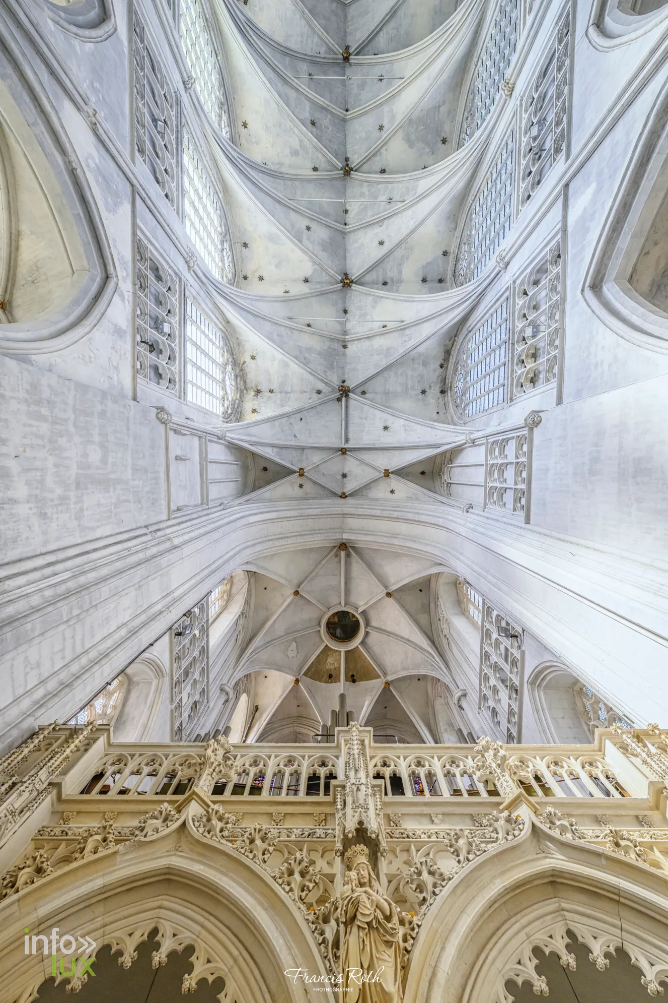 Les voûtes de la cathédrale — Malines et le Jardin d'hiver des Ursulines, en Belgique
