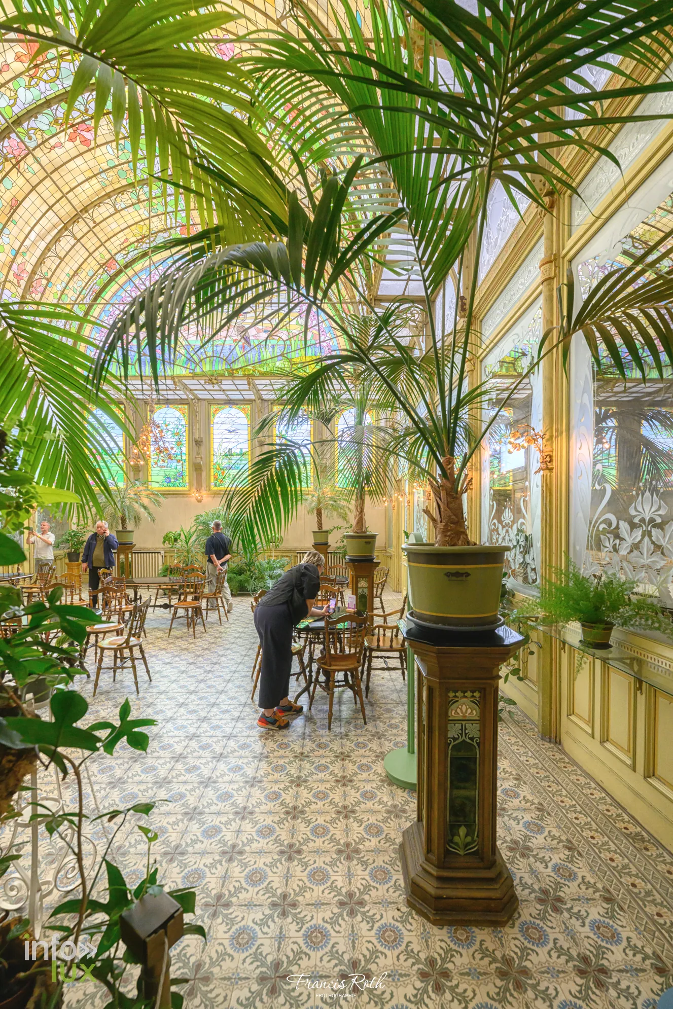 Les palmiers du Jardin d'hiver, plantés dans leurs jardinières d'origine — Malines et le Jardin d'hiver des Ursulines, en Belgique