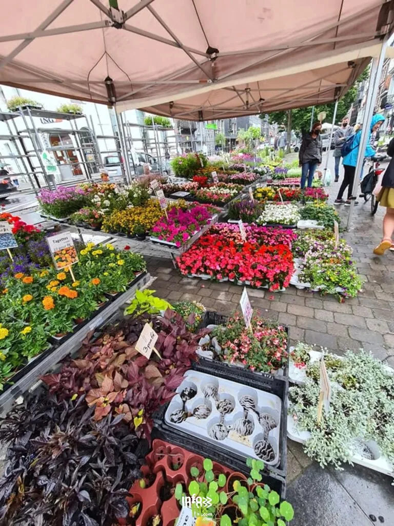Spa > Marché > Marché version longue 2026