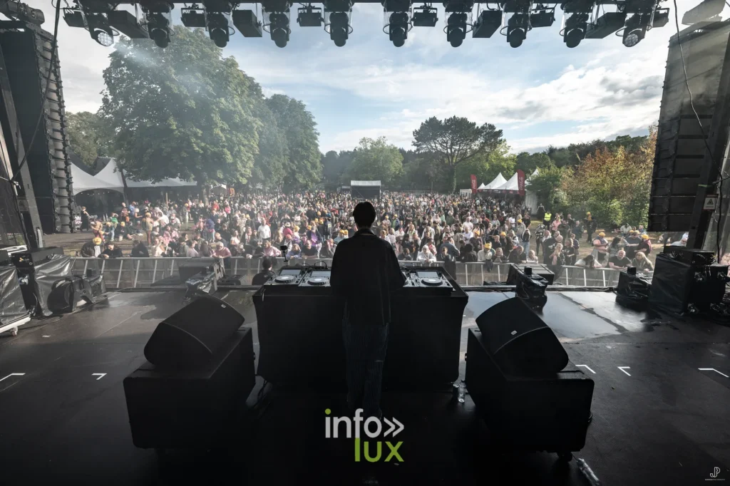 Silhouette d'un DJ de dos face à la foule massée devant la scène du festival