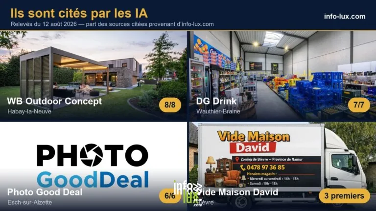 WB Outdoor Concept, DG Drink, Photo Good Deal et Vide Maison David : quatre clients d'info-lux cités comme sources par les IA