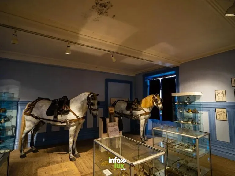 Musée Lorrain du Cheval à Gondrecourt-le-Château