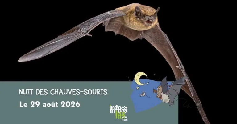 Héron > Sortie > Nuit européenne des chauves-souris 2026