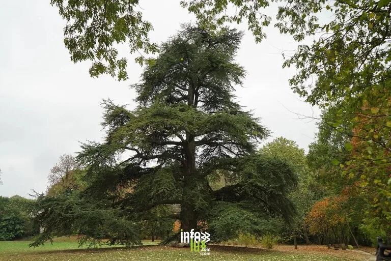 Parc de Remicourt à Villers-lès-Nancy