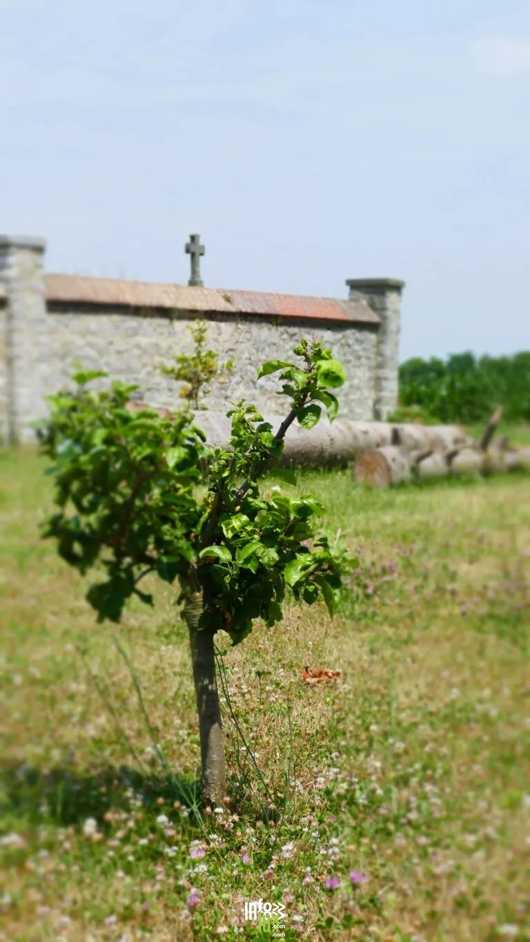 Sur le Champ de Bataille à Fontaine-l’Evêque