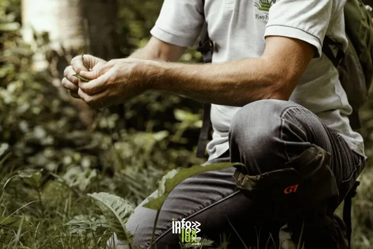 La nature dans votre assiette à Cerfontaine