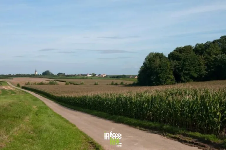 La Kulterkêne à Berloz