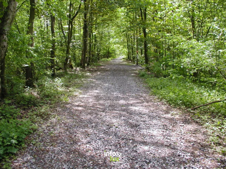 JOOKS – Fleurus