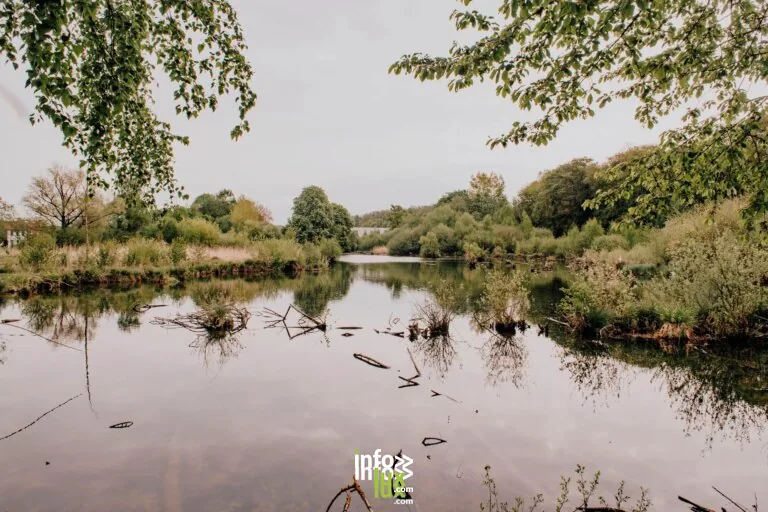 Réserve naturelle de Labuissière à Merbes-le-Château