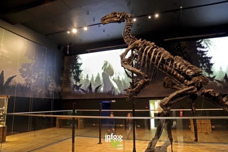 Le Musée de l’Iguanodon à Bernissart