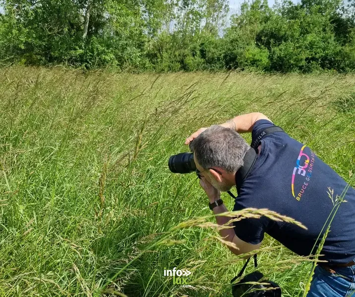 Le Mesnil-sur-Oger > Exposition > Photographie animalière aux Pâtis du Mesnil