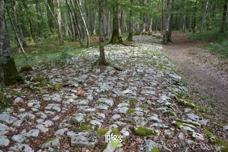 Faverolles > Sorties & Découvertes > Photos gallo-romaines : pierres et nature