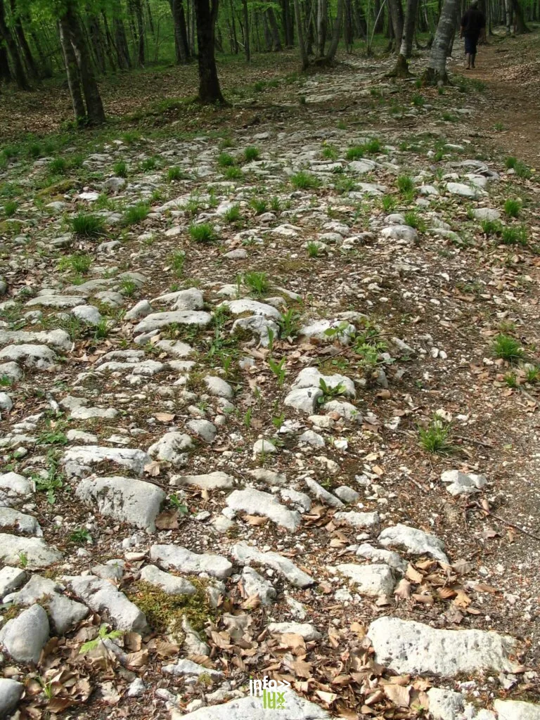 Faverolles > Atelier > Photos gallo-romaines “pierres et natures”