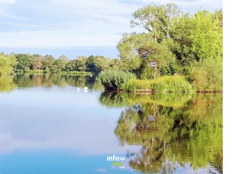 Aire de pique-nique - Bord de Moselle à Contz-les-Bains