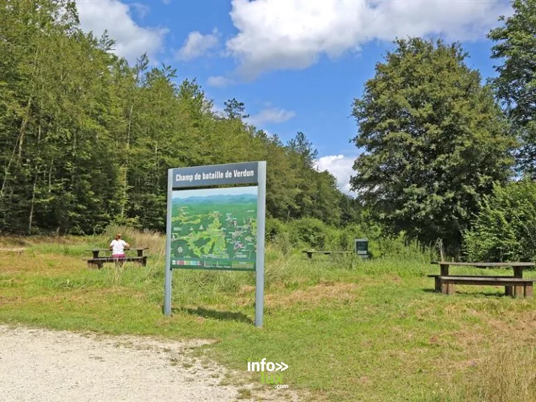 Aire de pique-nique – D913 à Bras-sur-Meuse : la halte pique-nique
