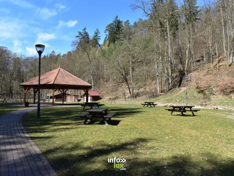 Aire de pique-nique de la Papiermühle à Hombourg-Haut