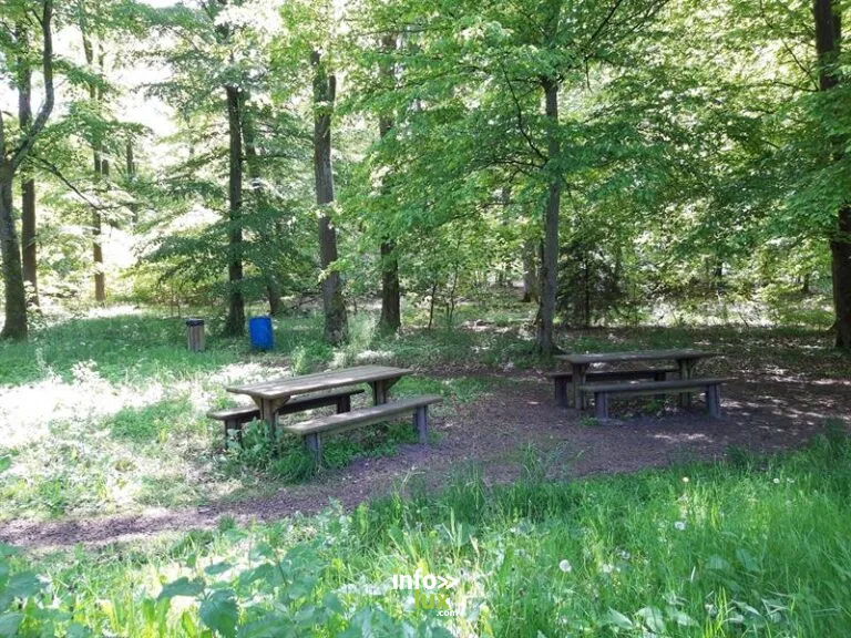 Aire de pique-nique de Saint-Christophe à Falck