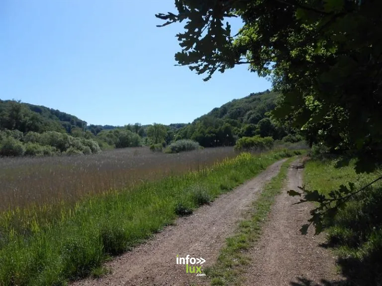 Aire de pique-nique de Varsberg – étang de la Vallée (Moselle) : la halte pique-nique