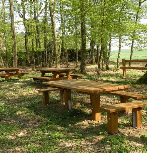 Aire de pique-nique - Helsinger Wald à Roussy-le-Village