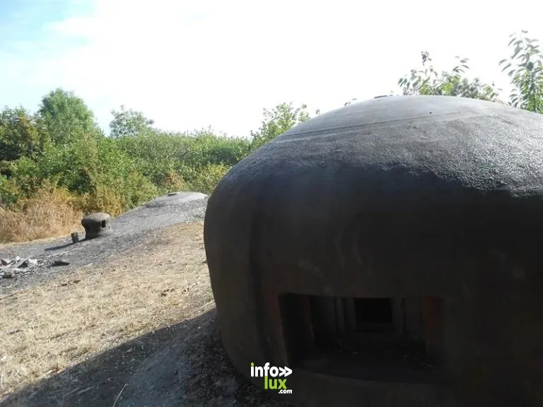 Aire de pique-nique Saint-Martin-En-Glandières à Longeville-lès-Saint-Avold