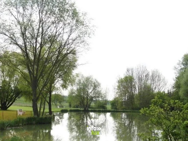 Aire du Willenbrunnengarten à Tenteling