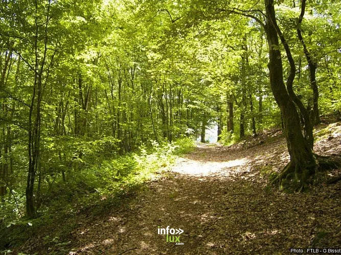 La Porte d'Aïve à Hotton : randonnée de 6,97 km
