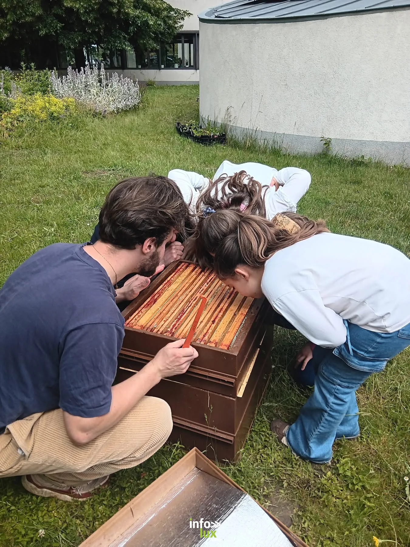 Atelier autour des cadres d'une ruche