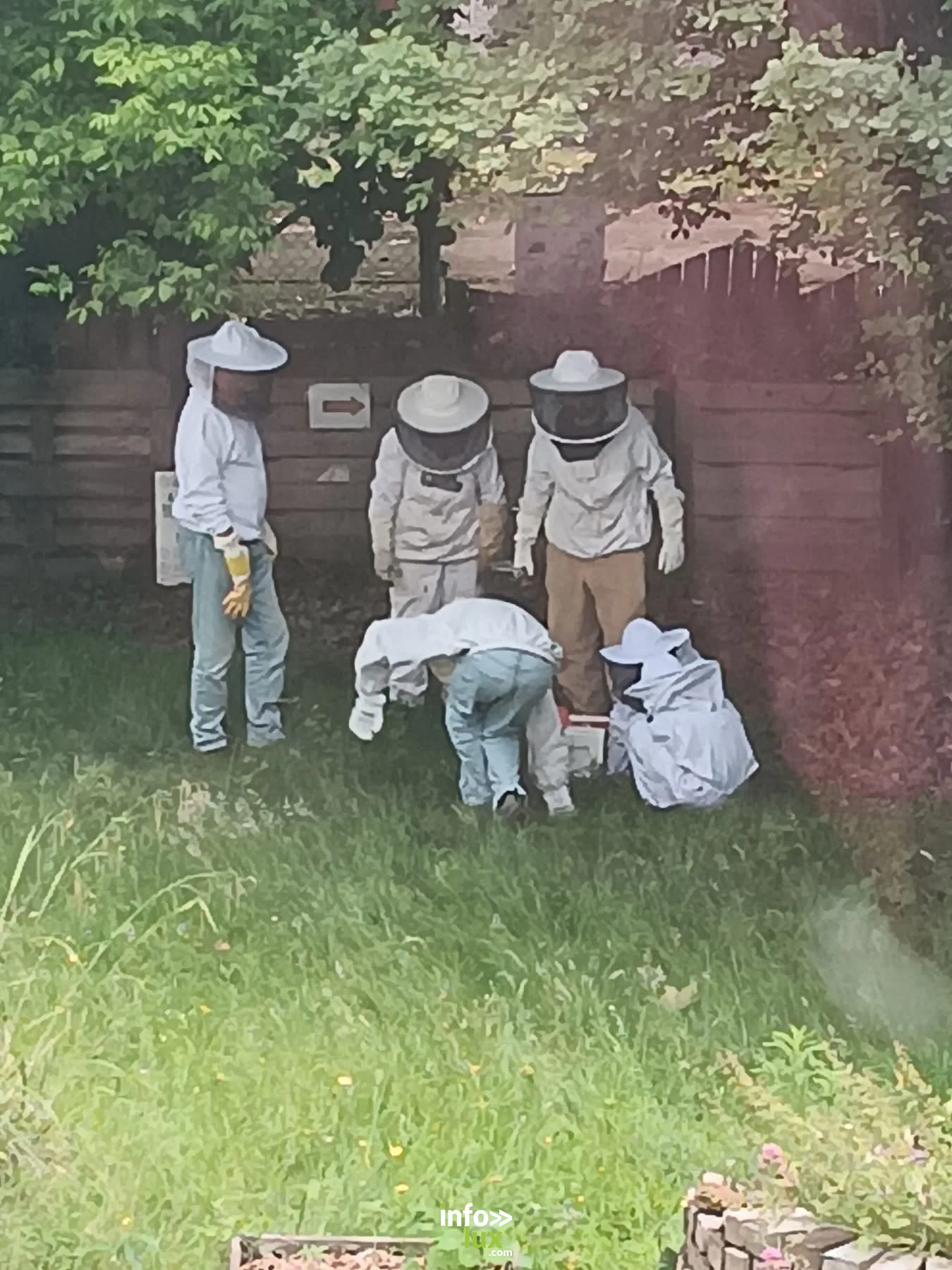 Initiation à l'apiculture au Projet Arcturus