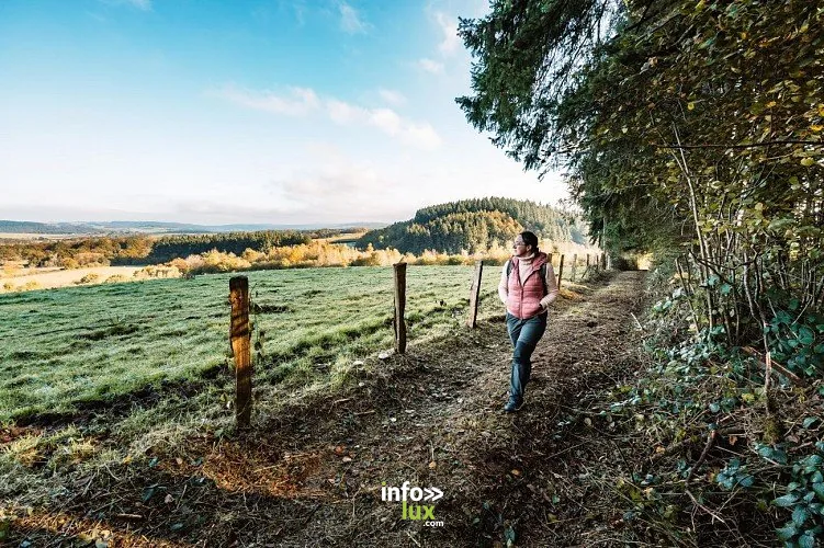 Promenade de la Croix Demanet à Ambly : randonnée de 3,7 km