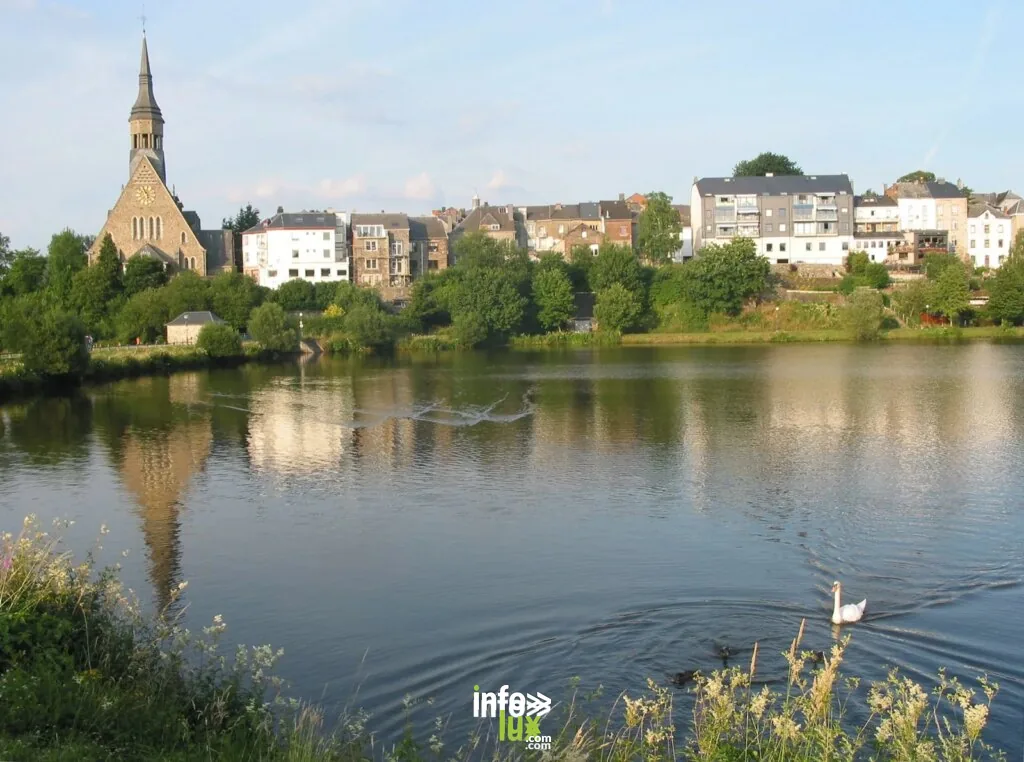 Randonnées à Vielsalm : lacs, forêts et légendes de Salm