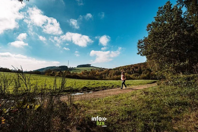 Promenade Saint-Michel à Masbourg : randonnée de 8,2 km