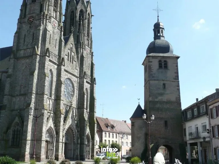 Cathédrale Saint-Martin et porte d'albe à Sarralbe
