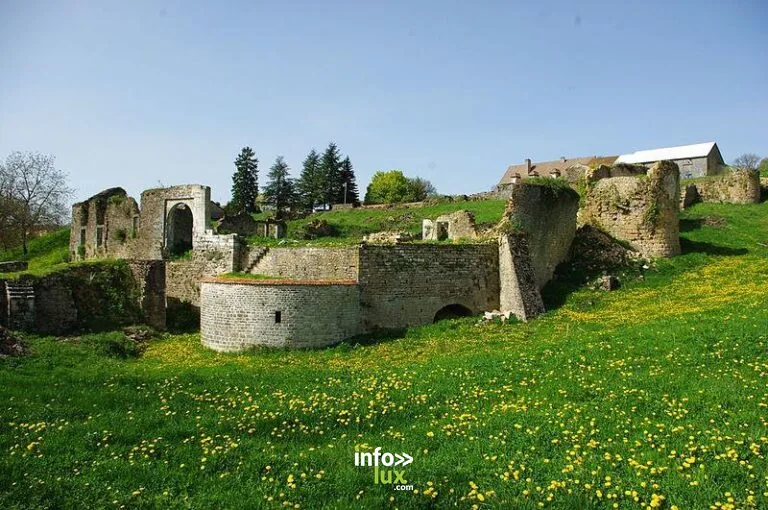 Château de Beaufremont à Beaufremont