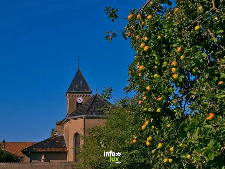 Fresques - Église Saint-Pierre et Saint-Paul à Guermange